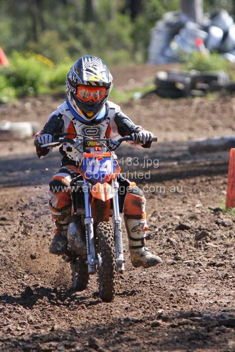 445x677 pixels (79K)